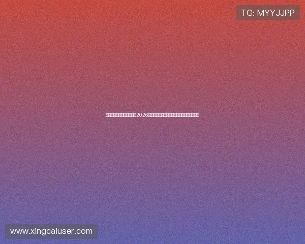新娱乐在线新浪网深度解析2026世界杯热门球队战术分析与明星球员精彩表现